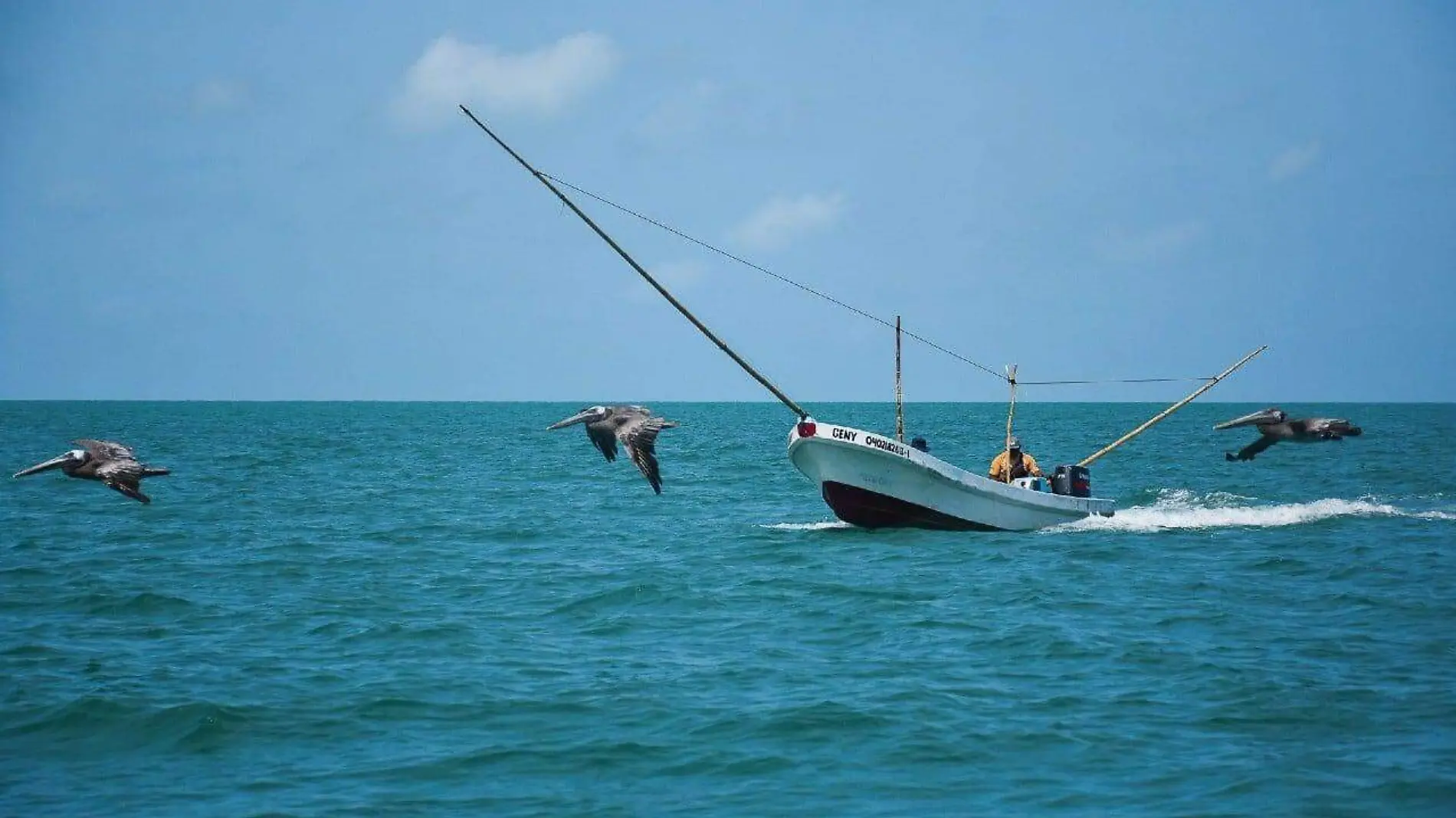 Temporada de pesca de camarón